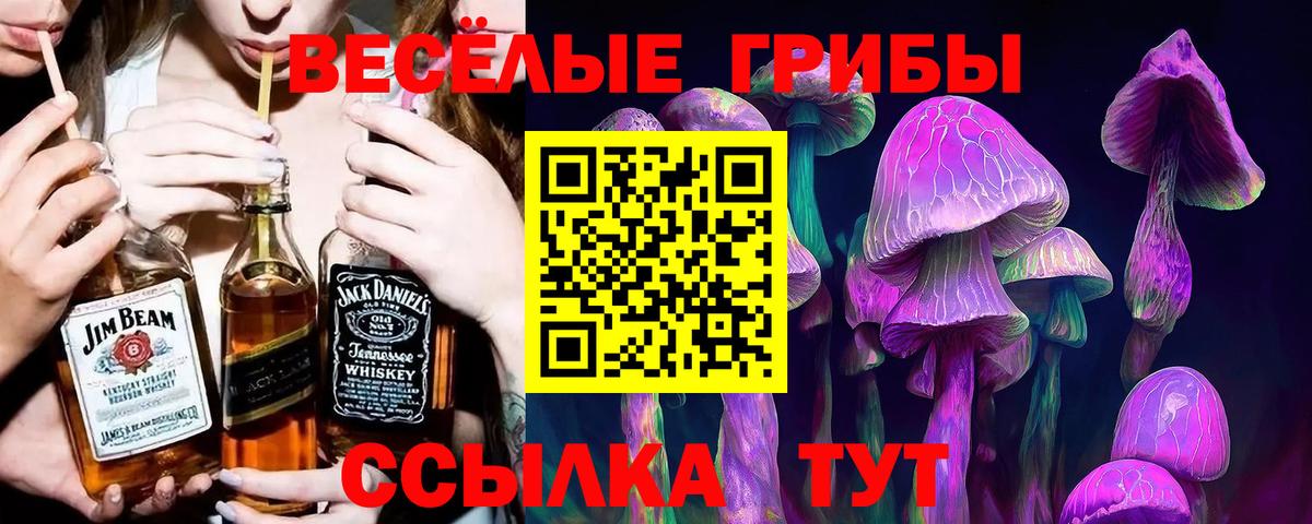 сколько стоит  Галлюциногенные грибы мицелий  Вход с VPN  Псилоцибиновые грибы Psilocybe  Чистополь 