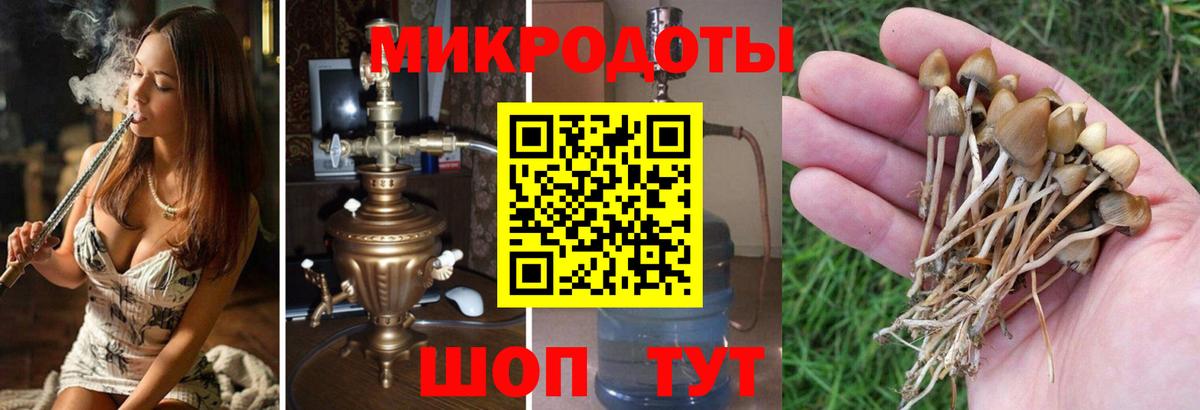 Галлюциногенные грибы мухоморы Чистополь