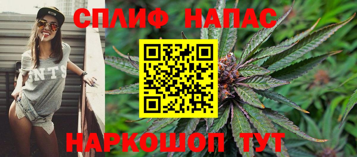 Каннабис план  Конопля OG Kush  Вход с VPN  Чистополь 